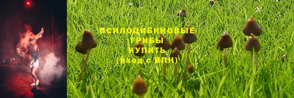 jwh Абаза