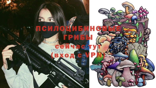 дмт Абинск